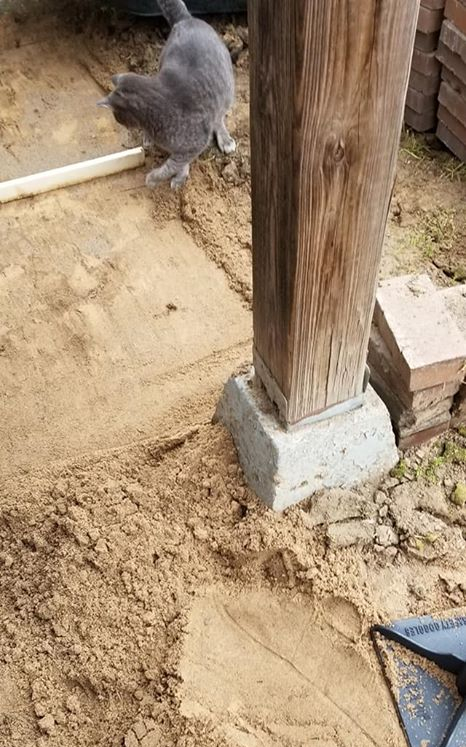 91908484_10158519608818694_4228885766702366720_o